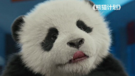 完美组合